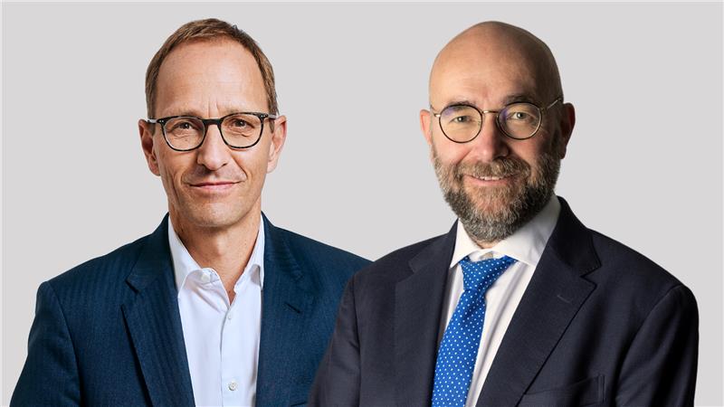 Rödl_Brandes.png